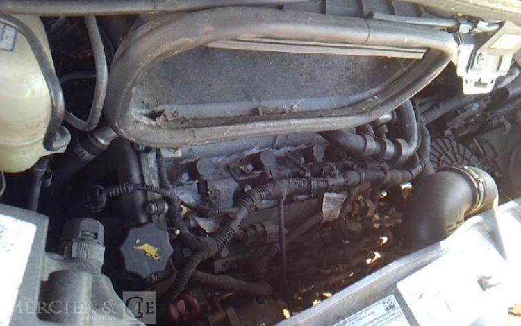 FIAT DUCATO MAXI XL H3 FRIGO BLANC FZ-677-DB