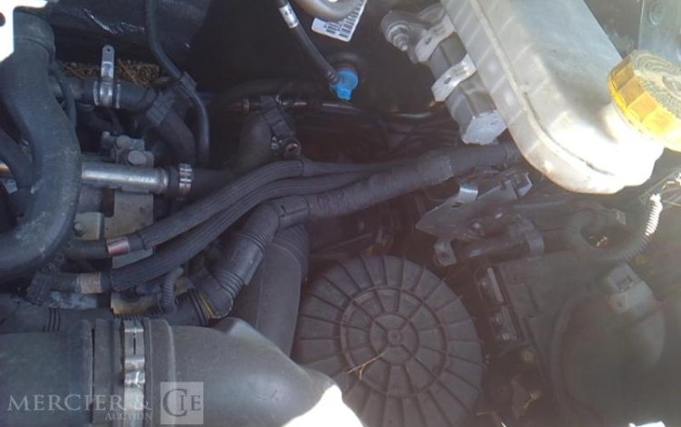 FIAT DUCATO MAXI XL H3 FRIGO BLANC FZ-677-DB