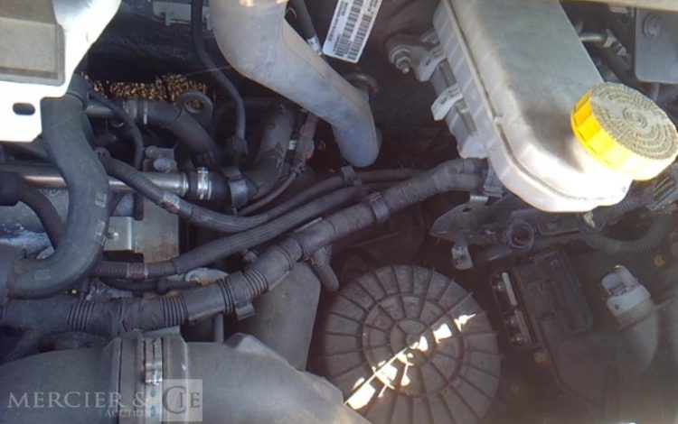 FIAT DUCATO MAXI XL H3 FRIGO  GA-983-HF