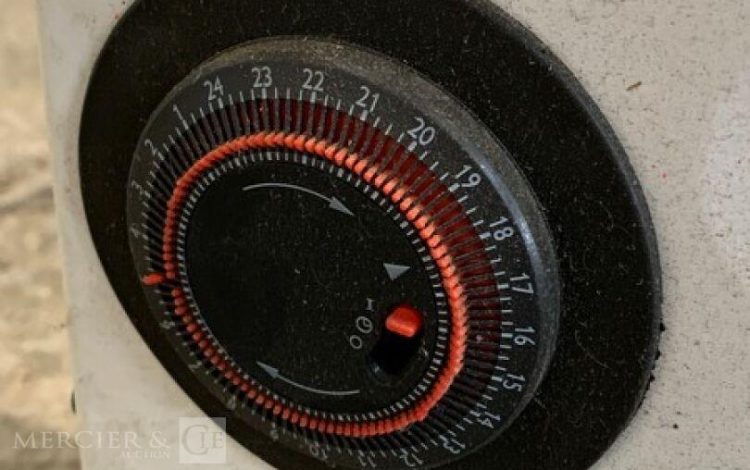 C20013077