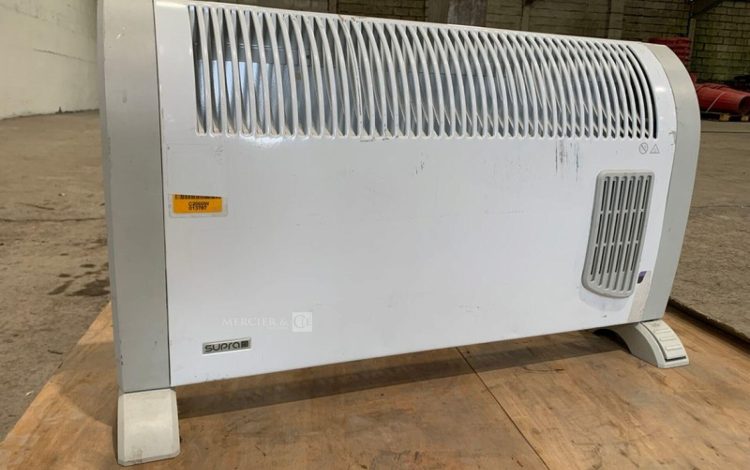 C20013077