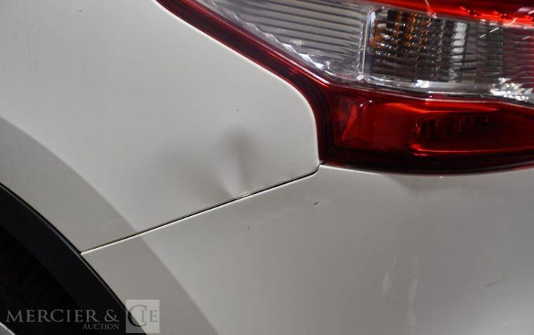 NISSAN  BLANC DM-768-BF