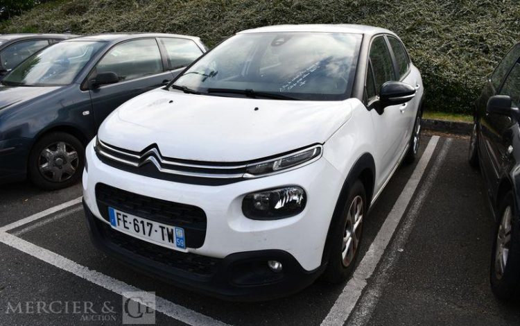 CITROEN  BLANC FE-617-TW