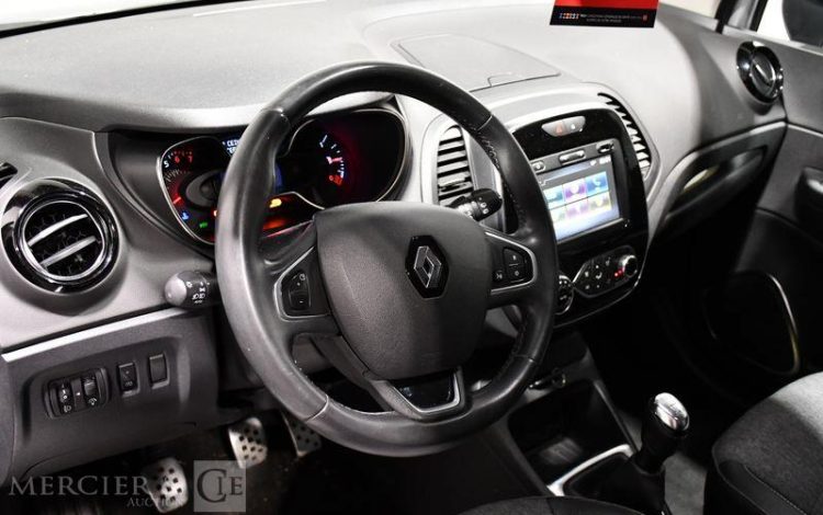 RENAULT  GRIS FH-133-GY