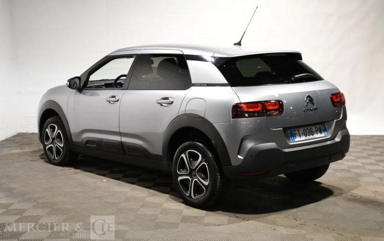 CITROEN  GRIS FT-036-PW