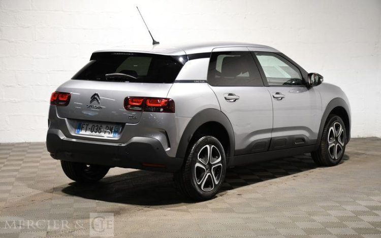 CITROEN  GRIS FT-036-PW