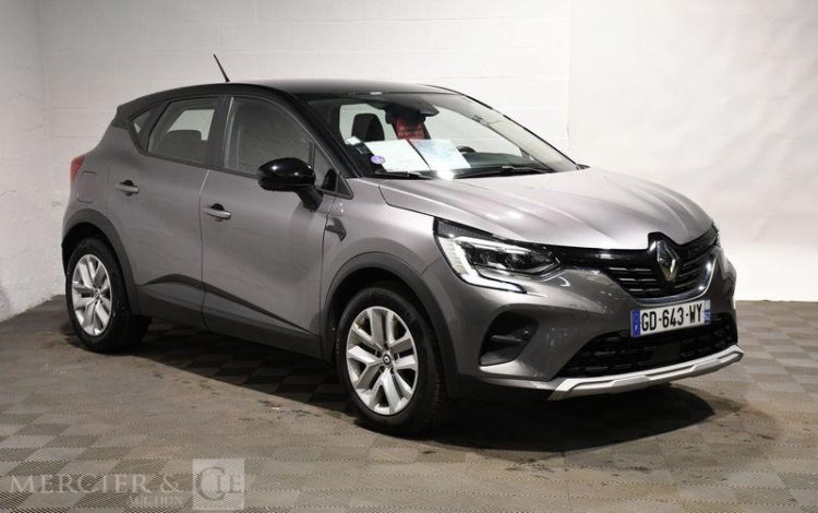RENAULT  GRIS GD-643-WY