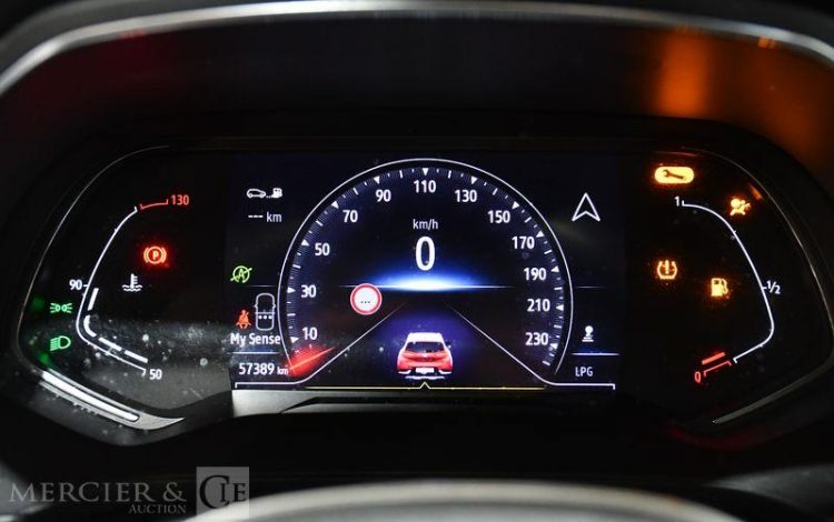 RENAULT  ROUGE GG-557-XC