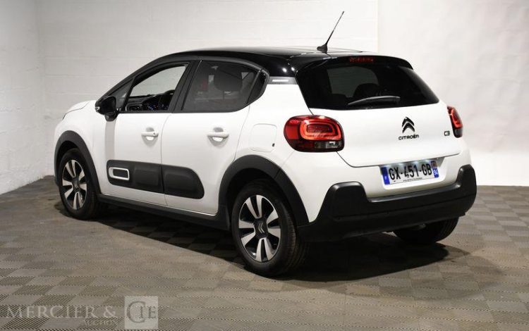 CITROEN  BLANC GX-451-GB