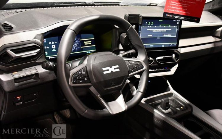 DACIA  GRIS HD-132-LG