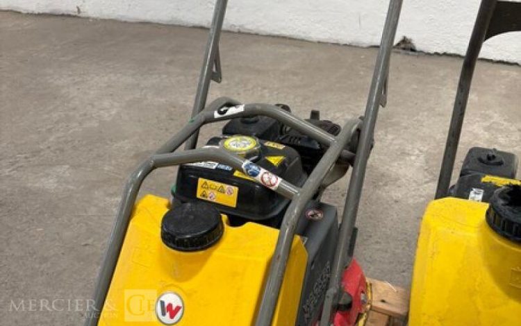 WACKER NEUSON   1MAM62026
