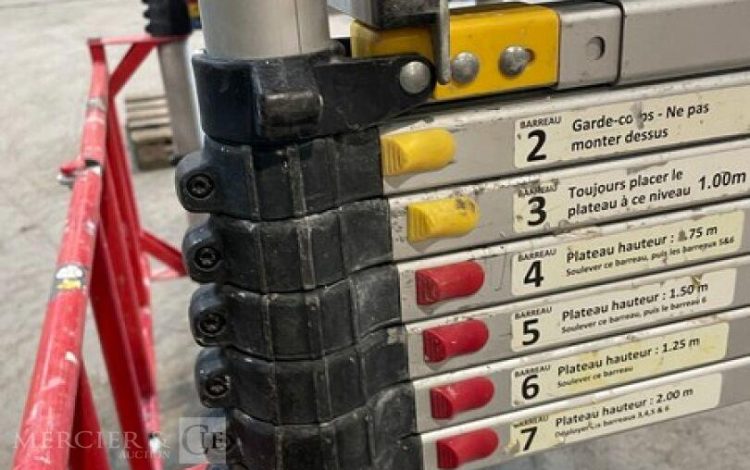 DUARIB TELETOWER  100MAM6
