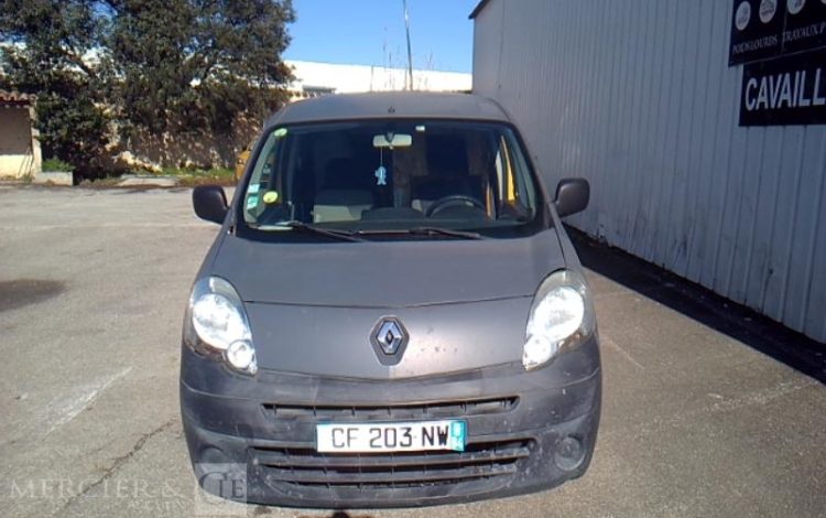 RENAULT KANGOO GRIS CF-203-NW