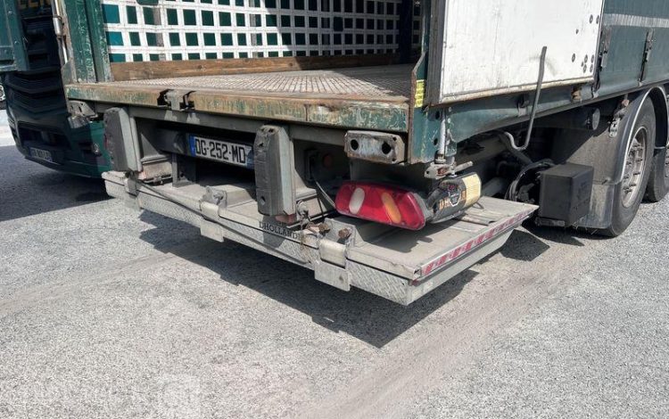 TROUILLET SREM PLSC 38T HAYON 3 ESSIEUX VERT DG-252-MD