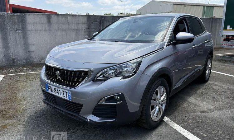 PEUGEOT 3008 GRIS FM-841-ZT