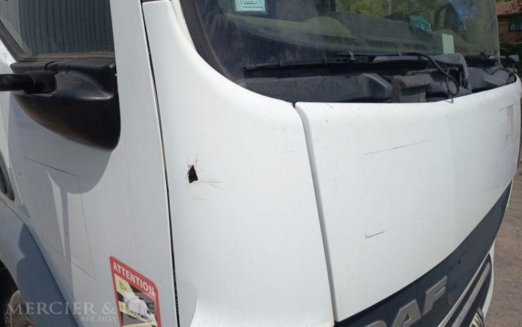 DAF LF45 AVEC HAYON  CH-945-BW