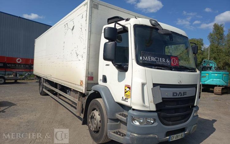 DAF LF BLANC EF-081-HL