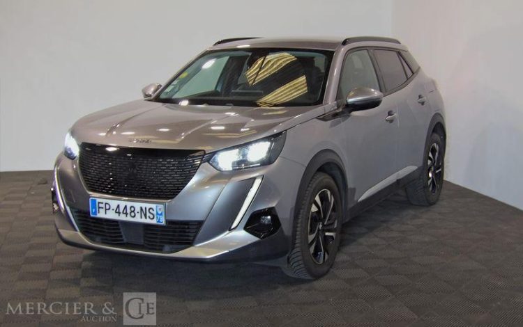 PEUGEOT 2008 GRIS FP-448-NS