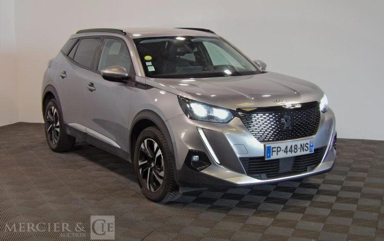 PEUGEOT 2008 GRIS FP-448-NS