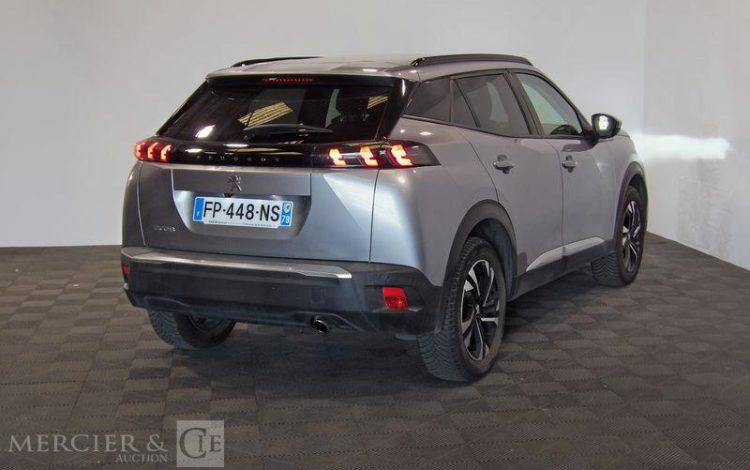 PEUGEOT 2008 GRIS FP-448-NS