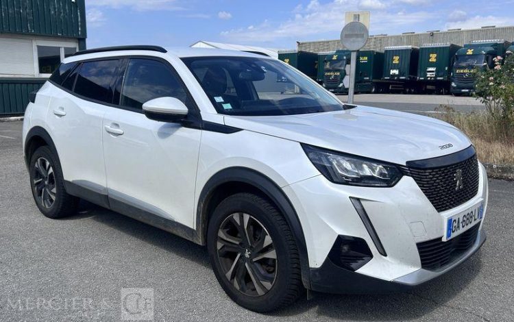 PEUGEOT 2008 BLANC GA-688-LV
