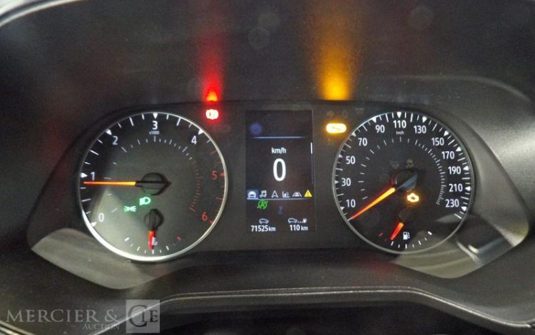 RENAULT CLIO BLEU GH-638-NN