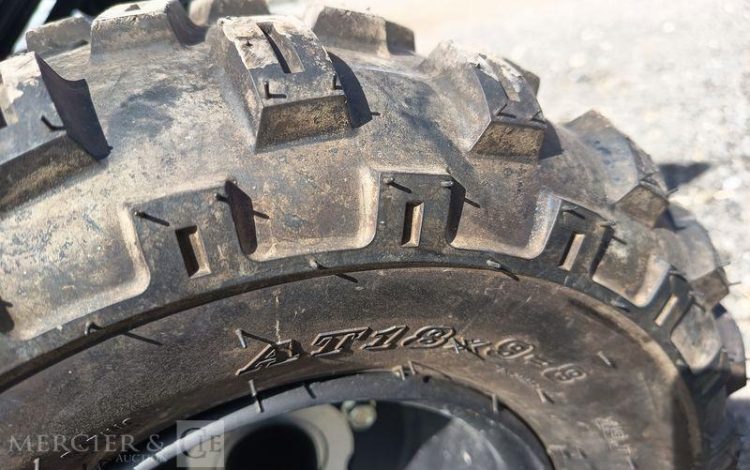 YAMAHA QUAD YFM RAPTOR VERSION 90 CM3 AVEC CLES  QUAD1