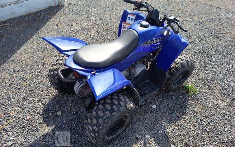 YAMAHA QUAD YFM RAPTOR VERSION 50CM3 ET SES CLES  QUAD2