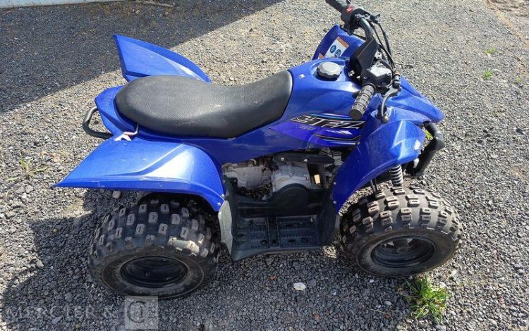 YAMAHA QUAD YFM RAPTOR VERSION 50CM3 ET SES CLES  QUAD2