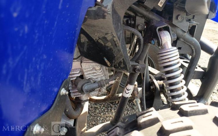 YAMAHA QUAD YFM RAPTOR VERSION 50CM3 ET SES CLES  QUAD2