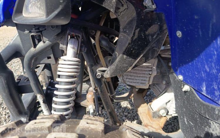 YAMAHA QUAD YFM RAPTOR VERSION 50CM3 ET SES CLES  QUAD2