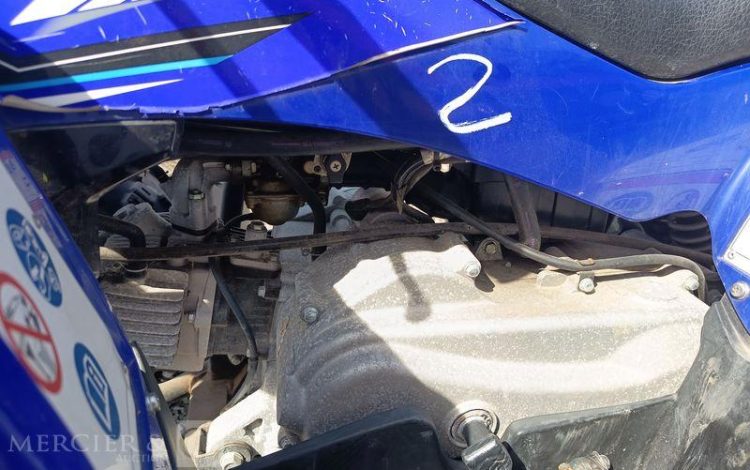 YAMAHA QUAD YFM RAPTOR VERSION 50CM3 ET SES CLES  QUAD2