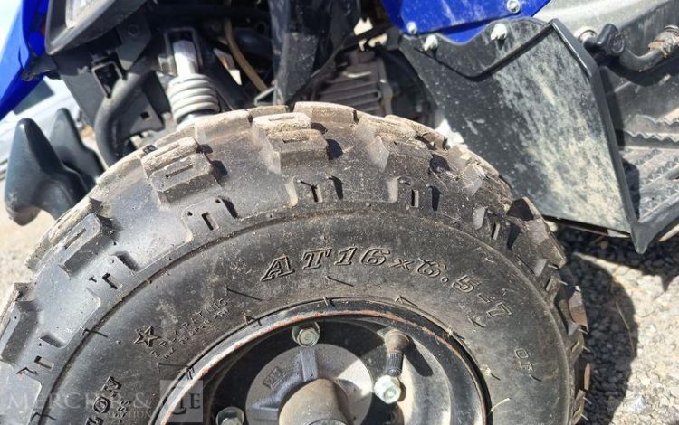 YAMAHA QUAD YFM RAPTOR VERSION 50CM3 ET SES CLES  QUAD2