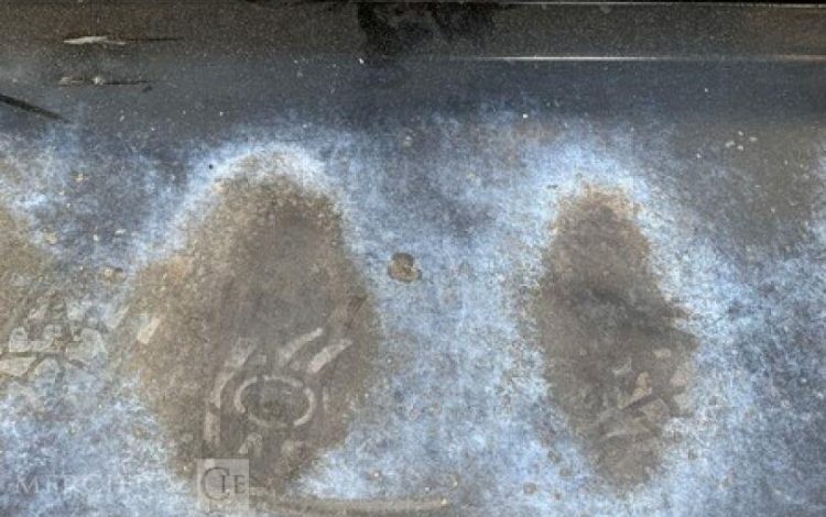 PLA010094