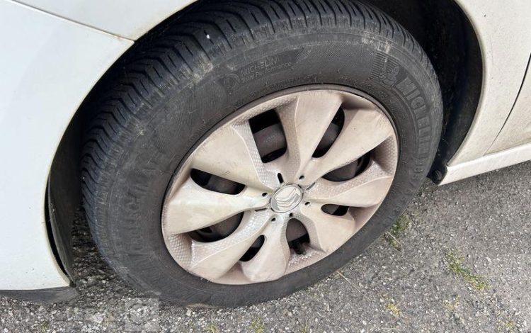 CITROEN C3  CF-607-EZ