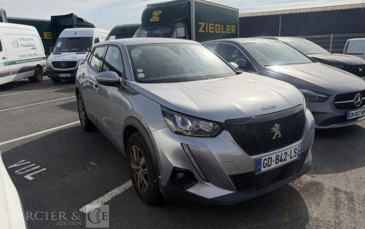 PEUGEOT 2008  GD-842-LS