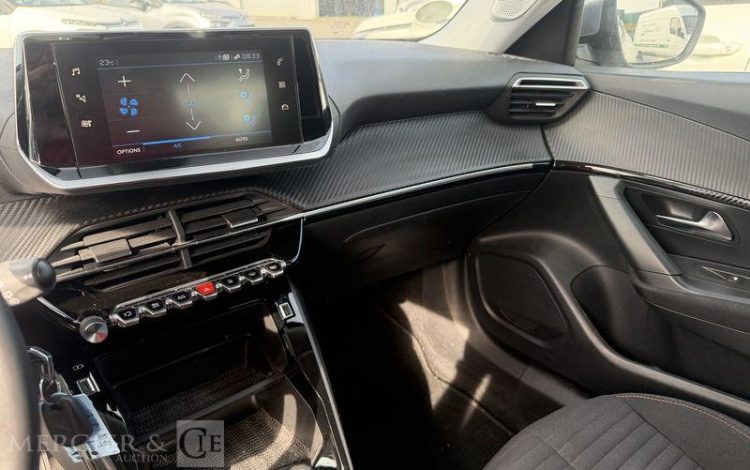 PEUGEOT 2008  GD-842-LS