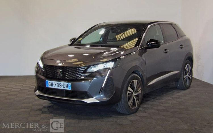 PEUGEOT 3008  GW-799-DM