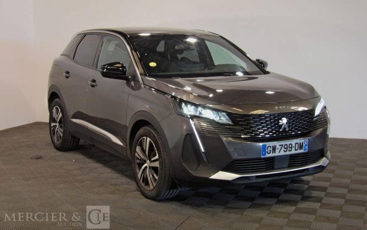PEUGEOT 3008  GW-799-DM