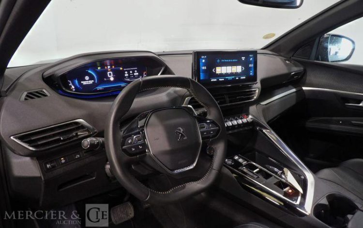 PEUGEOT 3008  GW-799-DM