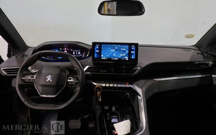 PEUGEOT 3008  GW-799-DM