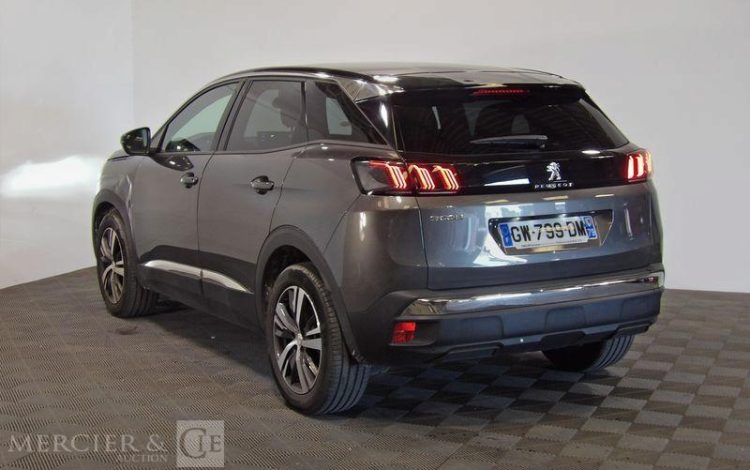 PEUGEOT 3008  GW-799-DM