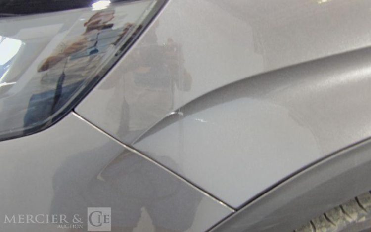 PEUGEOT 3008  GW-799-DM
