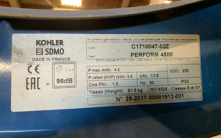 SDMO PERFORM 4500  GRO010761
