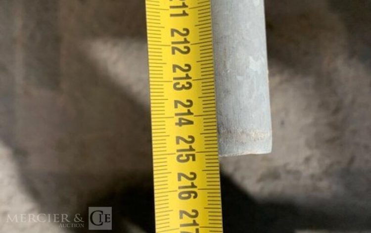 LEV010151
