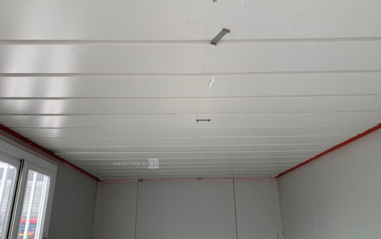 42604371