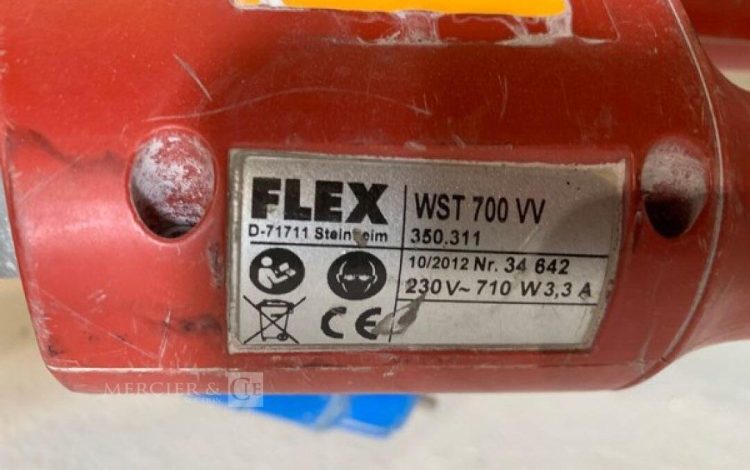FLEX   PON011020