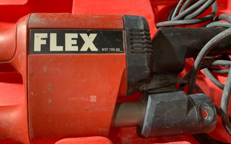 FLEX   PON011243
