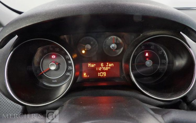 FIAT PUNTO ESS/GNV BLEU BT-235-DL
