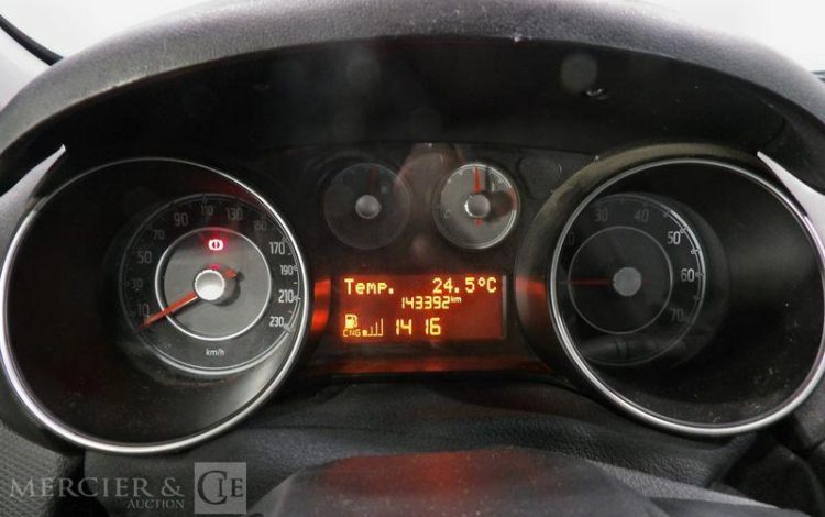 FIAT PUNTO ESS/GNV  CT-014-WH